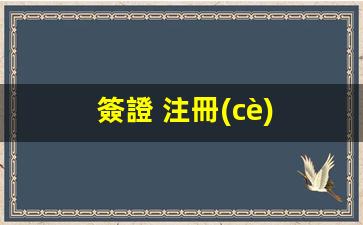 EVUS注冊(cè)詳解，揭秘簽證與eVisa之間的異同及辦理流程